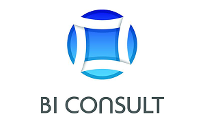 Логотип компании BI Consult